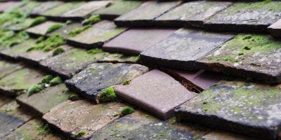 Leedon roof repair costs